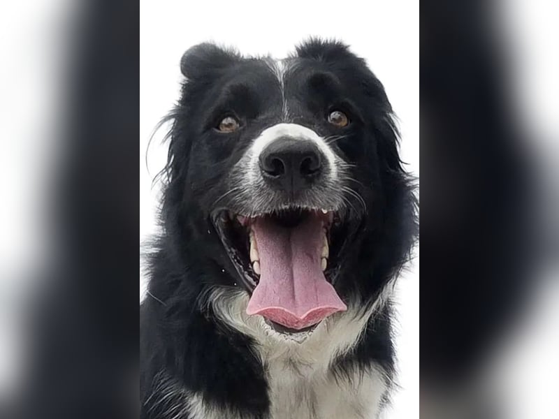 Lars ❤️ energiegeladen + hochintelligent