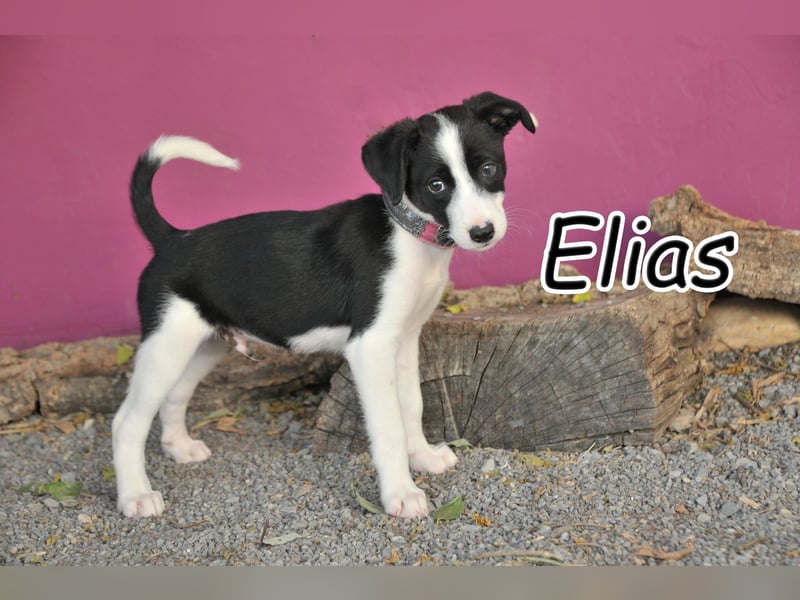 Zeigen Sie Elias weitere spannende Abenteuer?