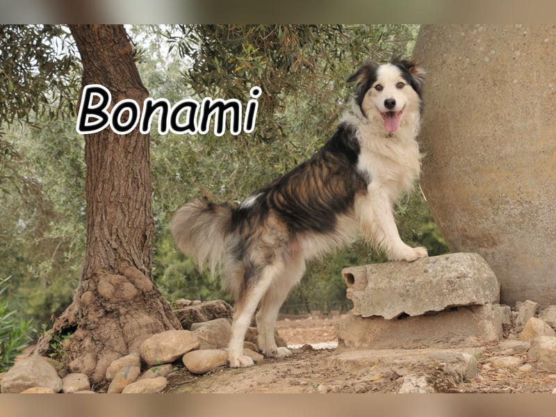 Zeigen Sie Bonami was wirkliche Liebe ist?