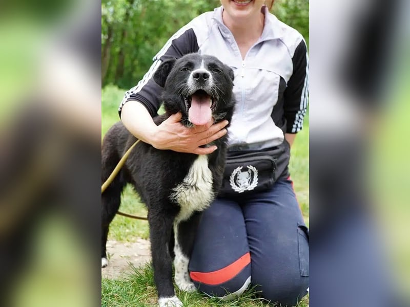 Aktiver und lieber Rüde „Konrad“, ca. 01.02.2023 geboren, Mischling, ist sehr verspielt