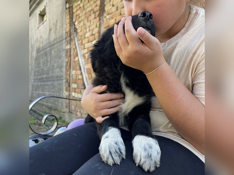 Billy ein kleiner Schatz