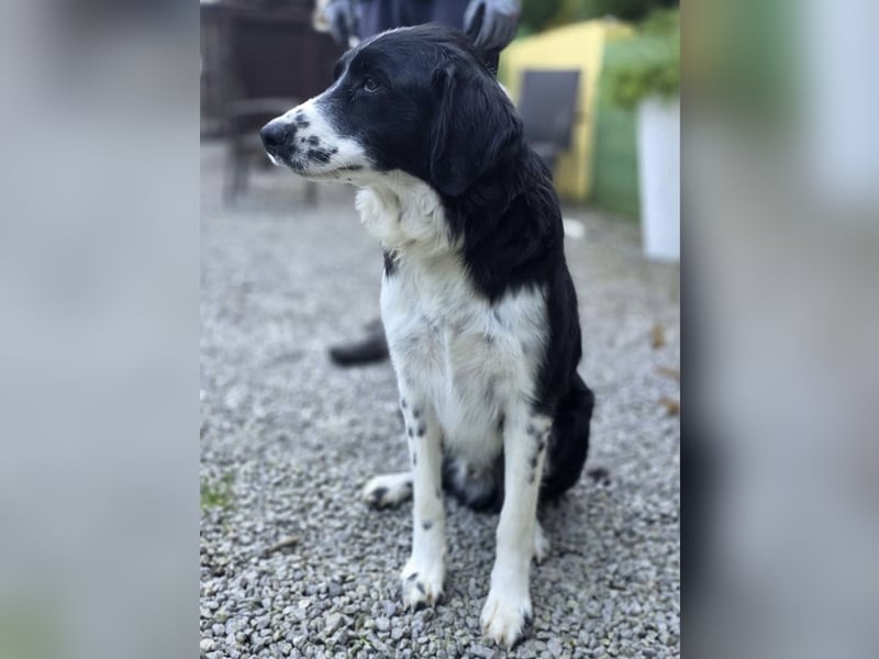 Coco der Liebevolle