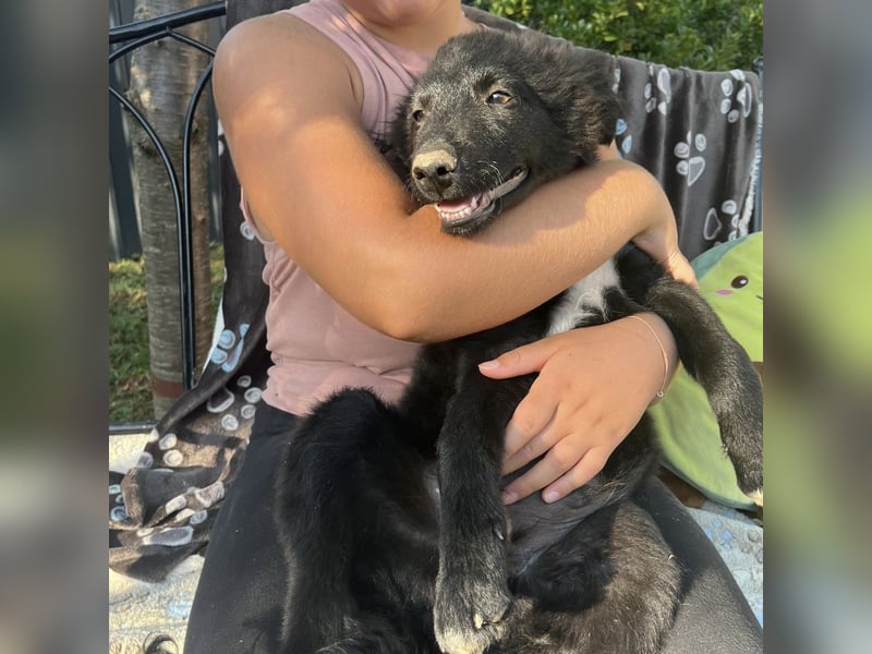 Dobri ein kleiner Spatz