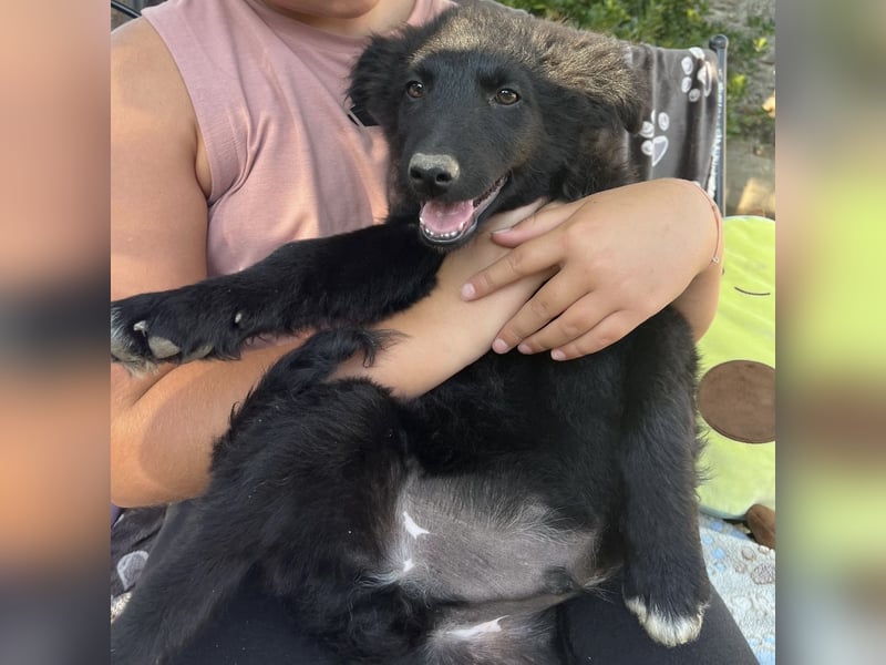 Dobri ein kleiner Spatz