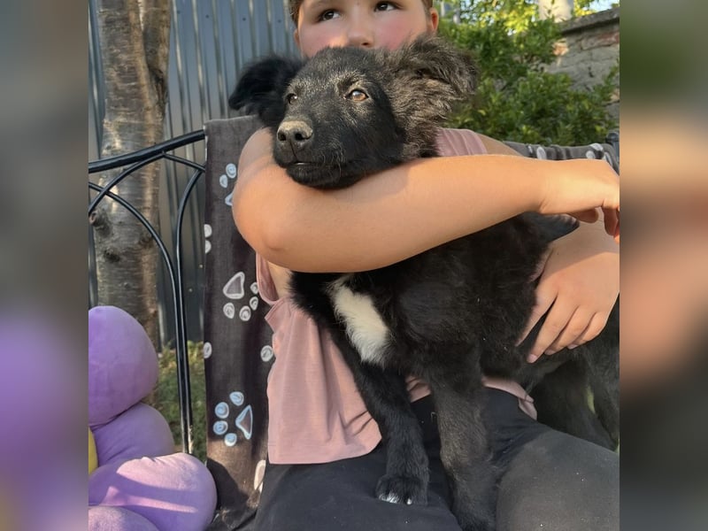 Dobri ein kleiner Spatz