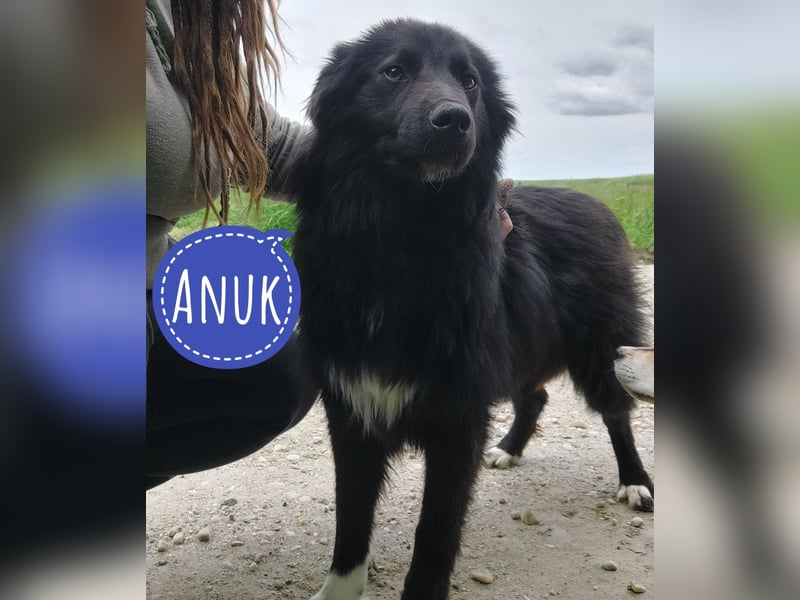 Traumwesen Anuk