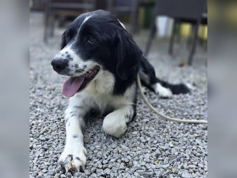 Coco der Liebevolle