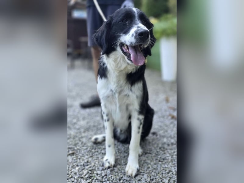 Coco der Liebevolle