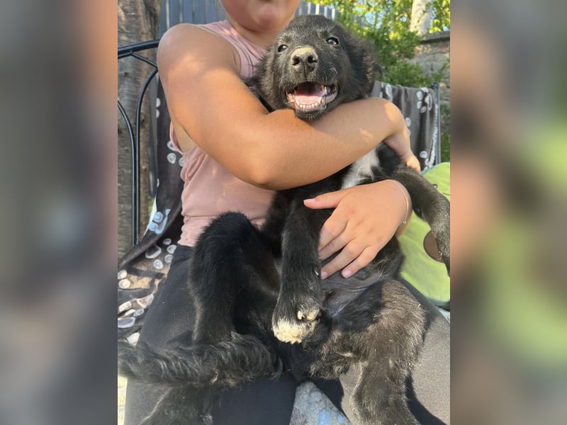 Dobri ein kleiner Spatz