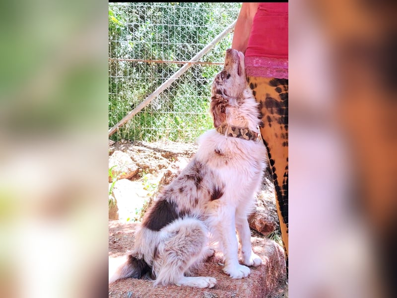 RUDY und der Traum vom Glück