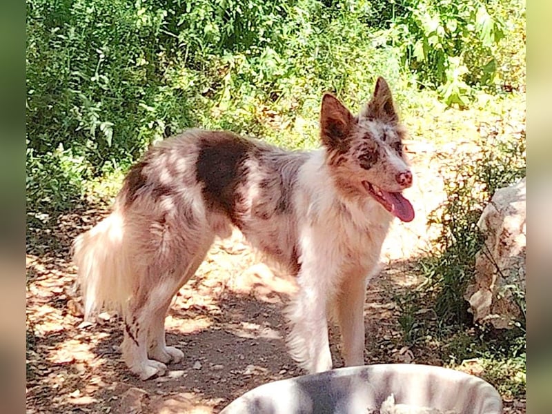 RUDY und der Traum vom Glück