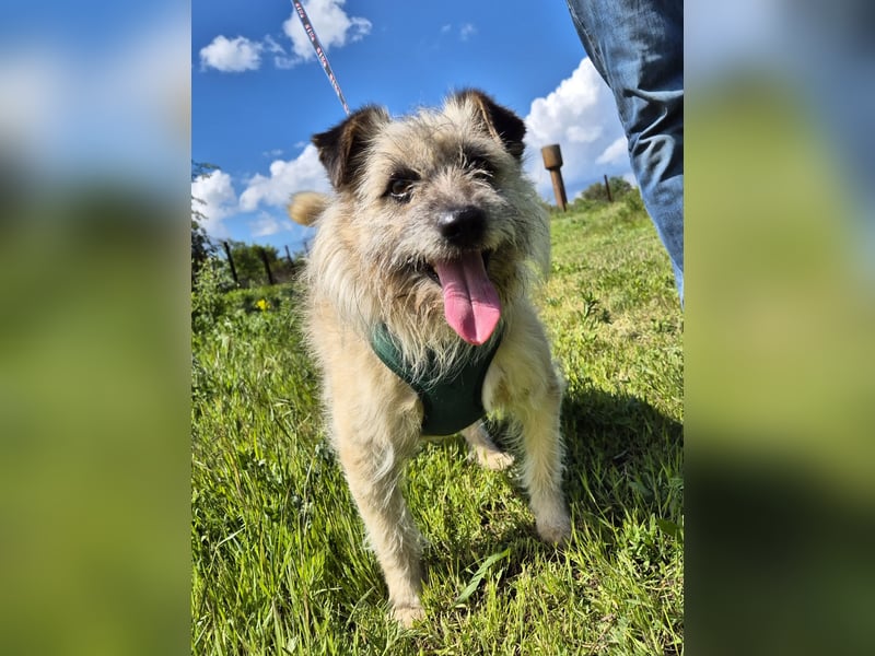 Clark sucht ein neues Zuhause