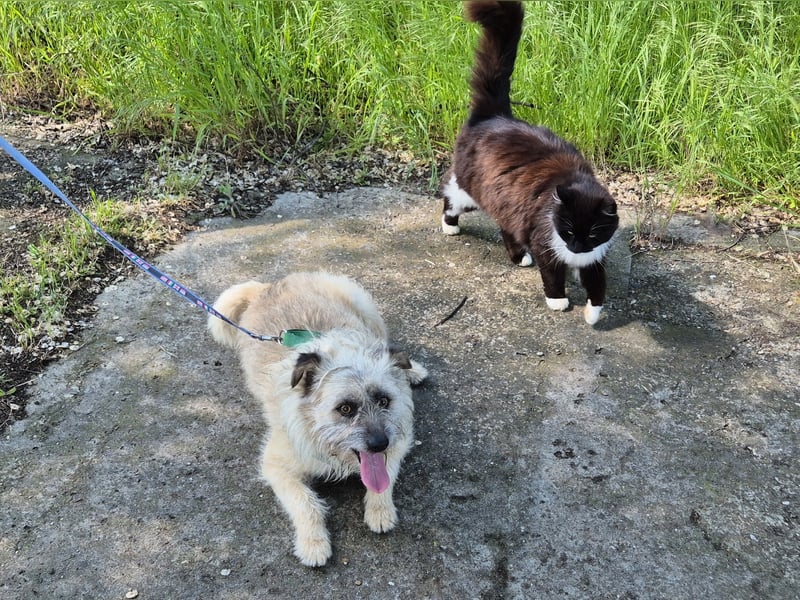 Clark sucht ein neues Zuhause