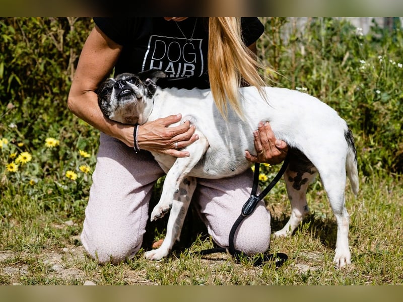 Super Freundlich und Unkompliziert | I Z Z Y |