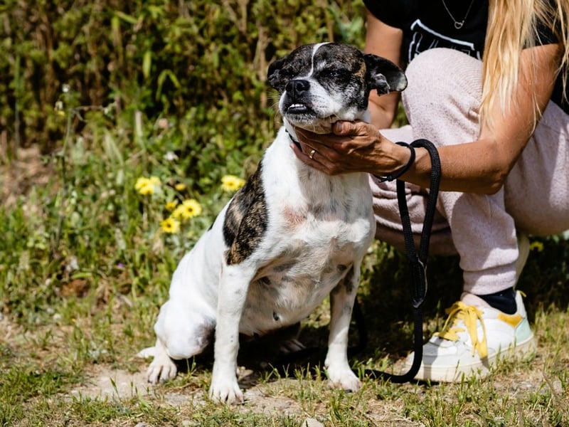 Super Freundlich und Unkompliziert | I Z Z Y |