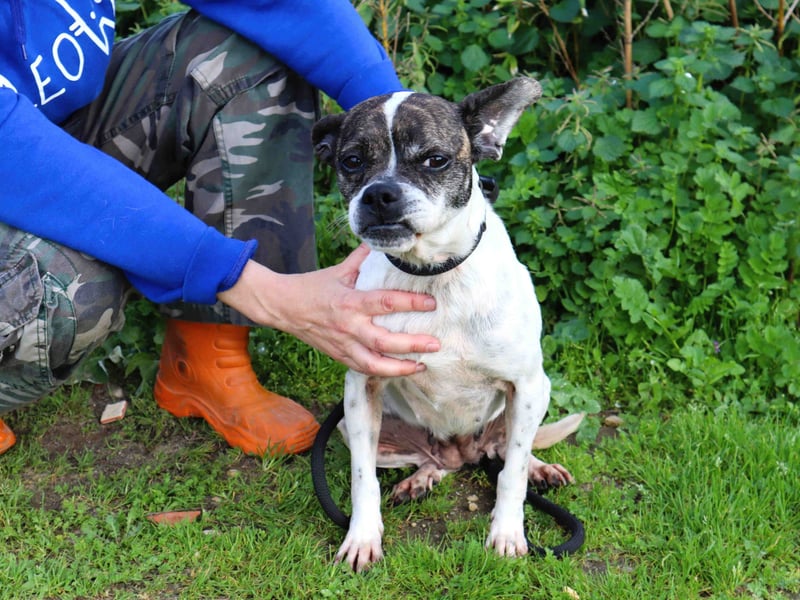 Super Freundlich und Unkompliziert | I Z Z Y |