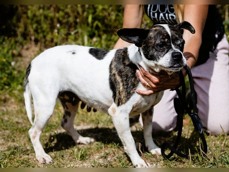 Super Freundlich und Unkompliziert | I Z Z Y |