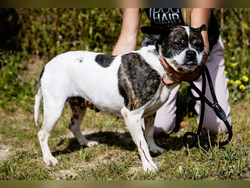 Super Freundlich und Unkompliziert | I Z Z Y |