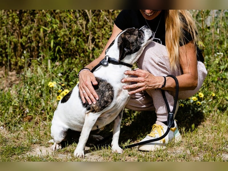 Super Freundlich und Unkompliziert | I Z Z Y |