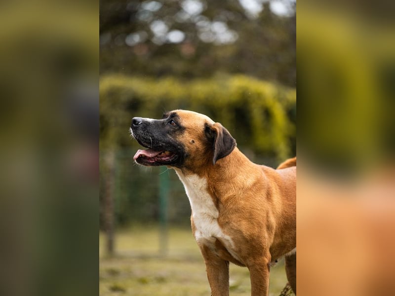 Bonita: Deine neue Wegbegleiterin?