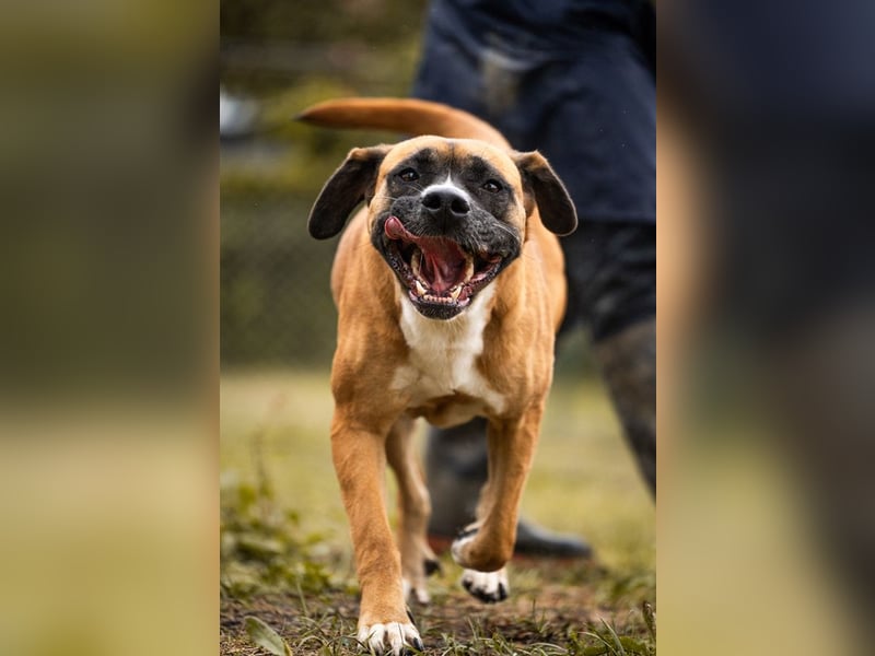 Bonita: Deine neue Wegbegleiterin?