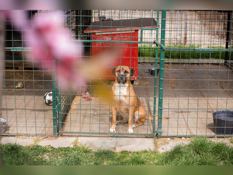 Bonita: Deine neue Wegbegleiterin?