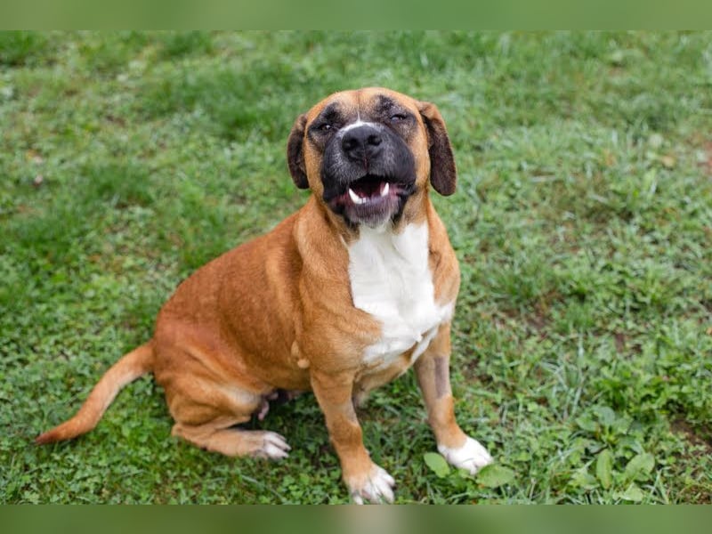 Bonita: Deine neue Wegbegleiterin?