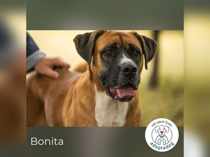 Bonita: Deine neue Wegbegleiterin?