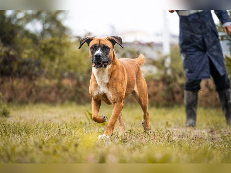 Bonita: Deine neue Wegbegleiterin?