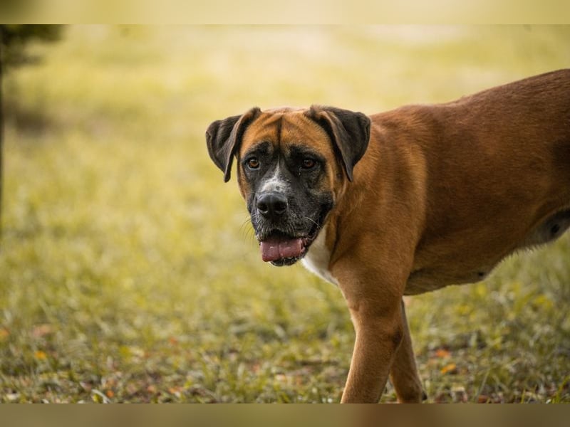 Bonita: Deine neue Wegbegleiterin?