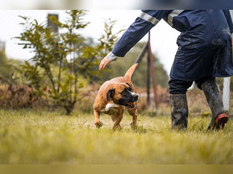 Bonita: Deine neue Wegbegleiterin?
