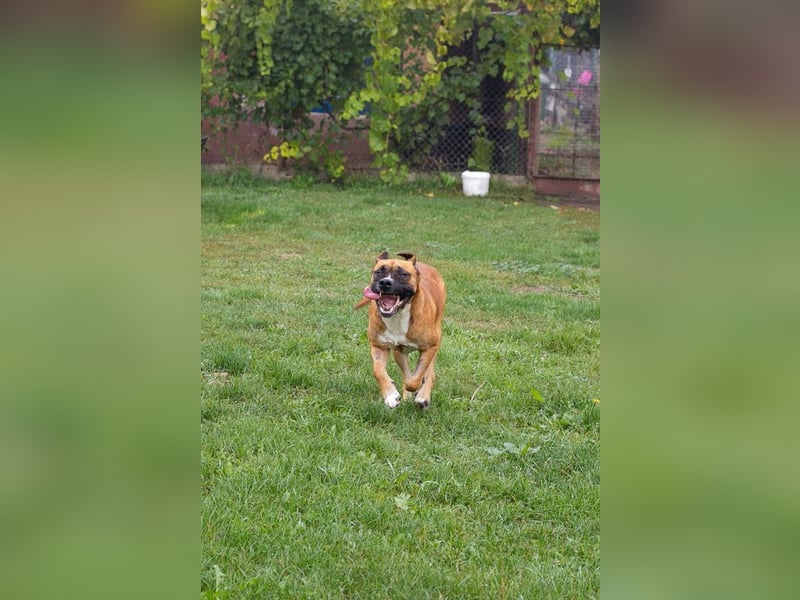 Bonita: Deine neue Wegbegleiterin?