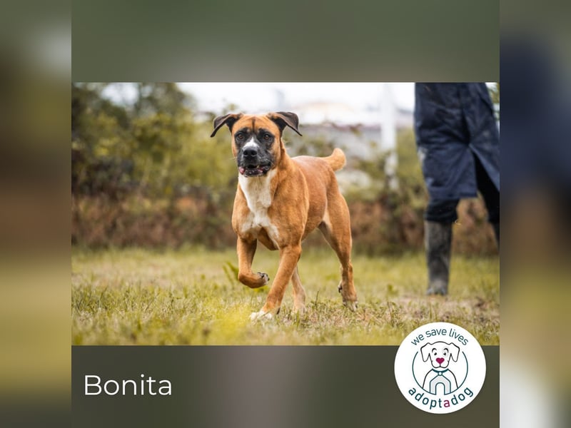 Bonita: Deine neue Wegbegleiterin?