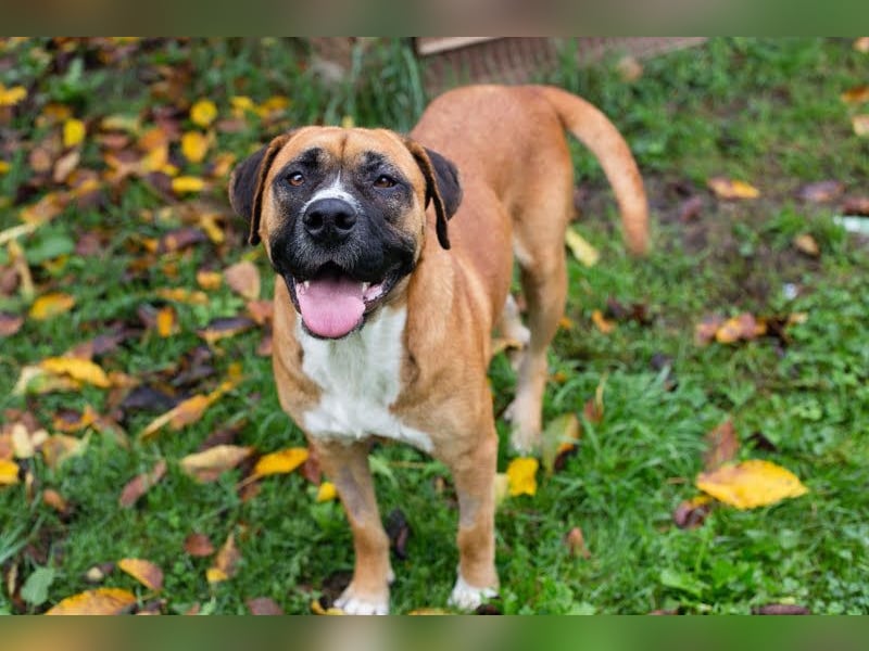 Bonita: Deine neue Wegbegleiterin?