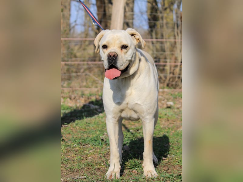 White sucht Zuhause als Einzelprinzessin!