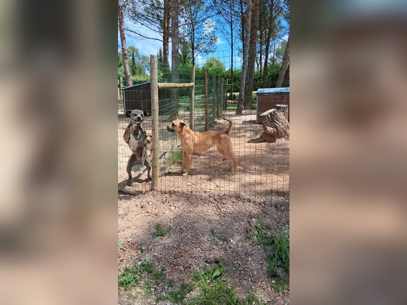 Yara sucht Pflege- oder Endstelle