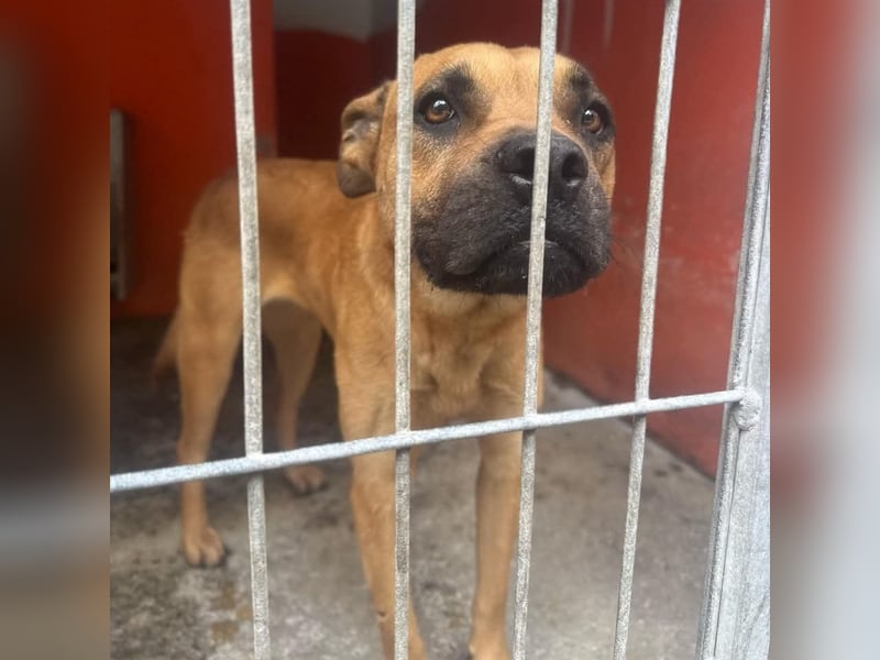 Yara sucht Pflege- oder Endstelle