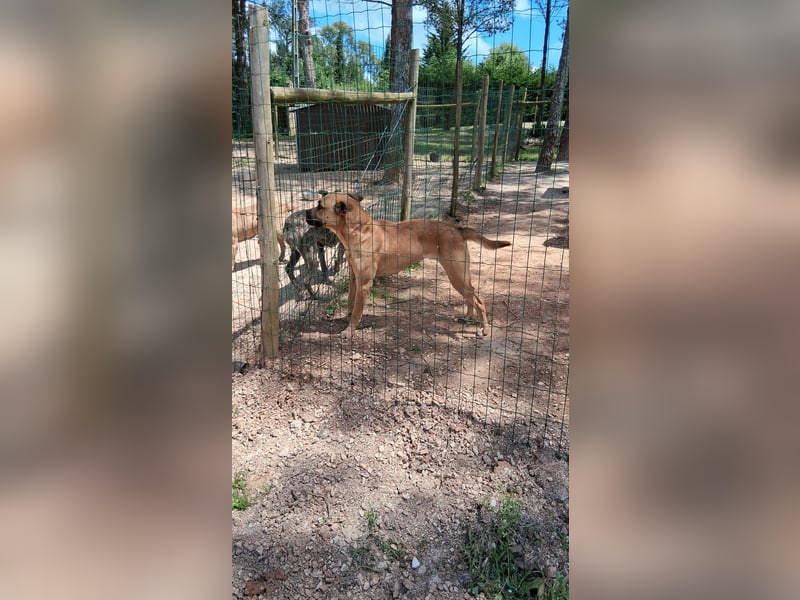 Yara sucht Pflege- oder Endstelle
