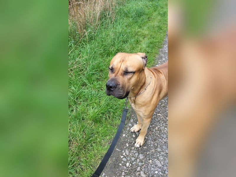 Dringend neues Zuhause gesucht