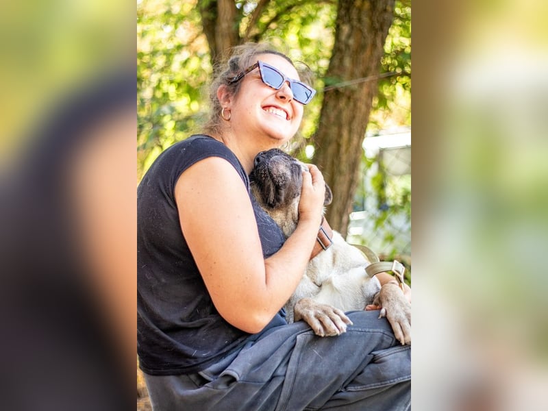 Fiona, freundliches Riesenbaby, ca. 10 Monate, ca. 58cm, ca. 26kg