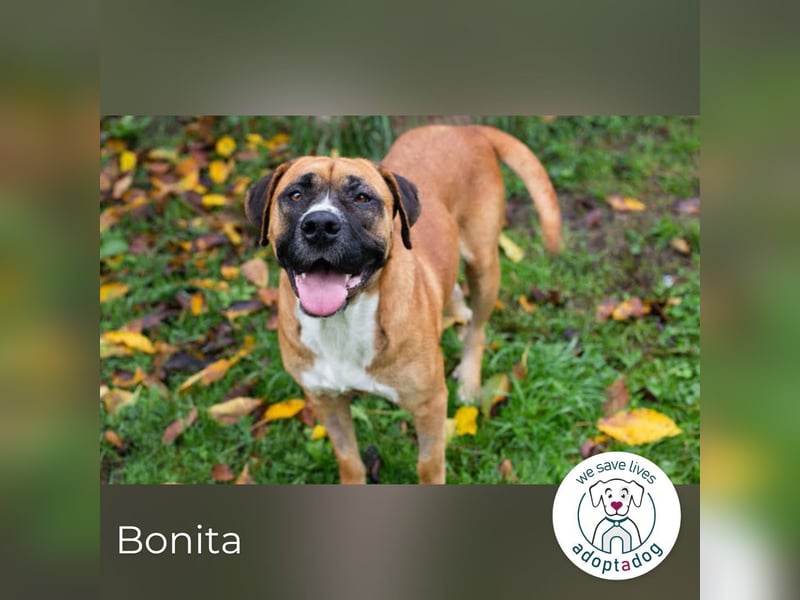 Bonita: Deine neue Wegbegleiterin?
