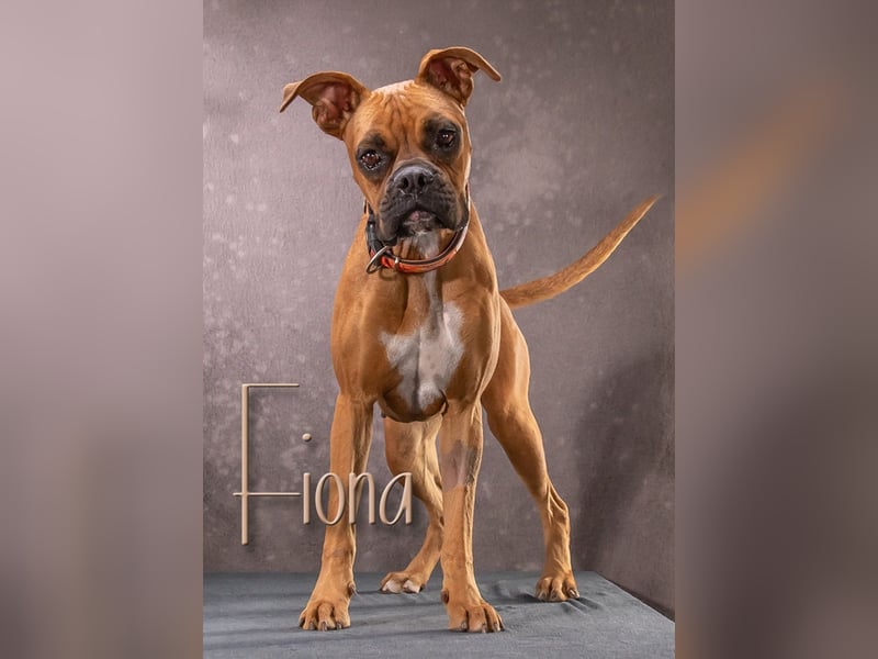 Fiona - eine Knutschkugel