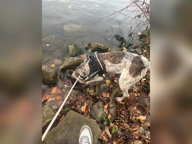 Paula sucht dringend ein nettes Zuhause