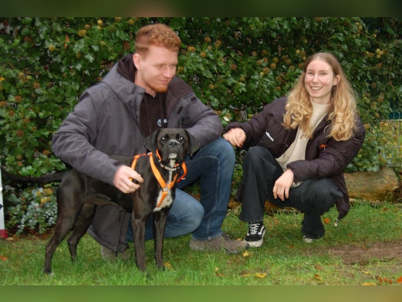 Black Abby - verschmust und lernfreudig - Tierhilfe Franken e.V.