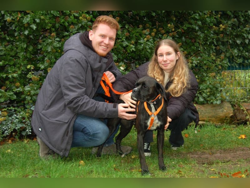 Black Abby - verschmust und lernfreudig - Tierhilfe Franken e.V.