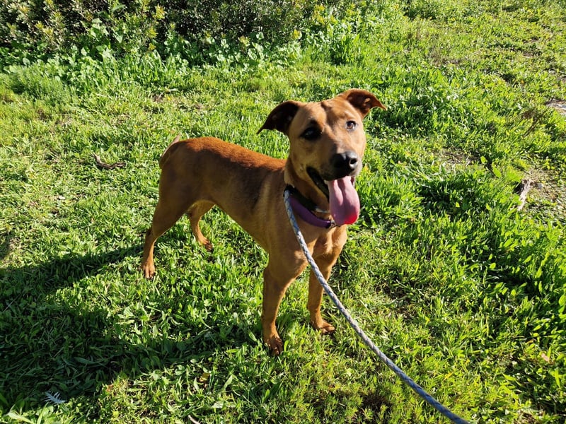 EMINA - intelligent und lernwillig