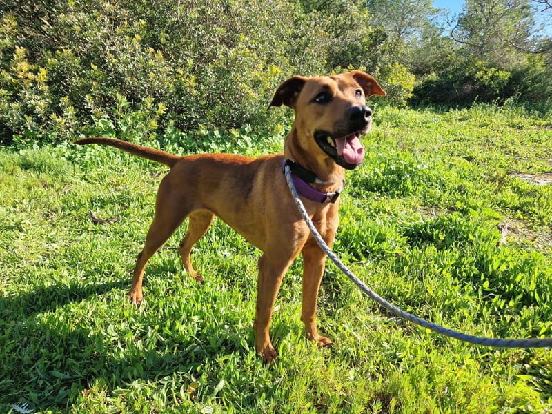 EMINA - intelligent und lernwillig