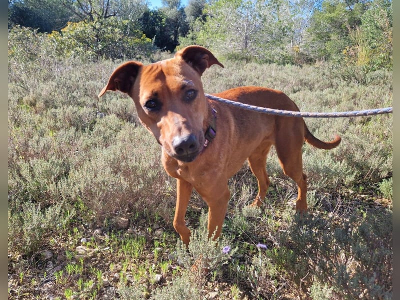 EMINA - intelligent und lernwillig