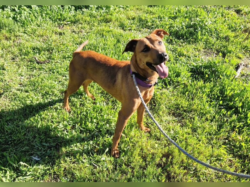 EMINA - intelligent und lernwillig