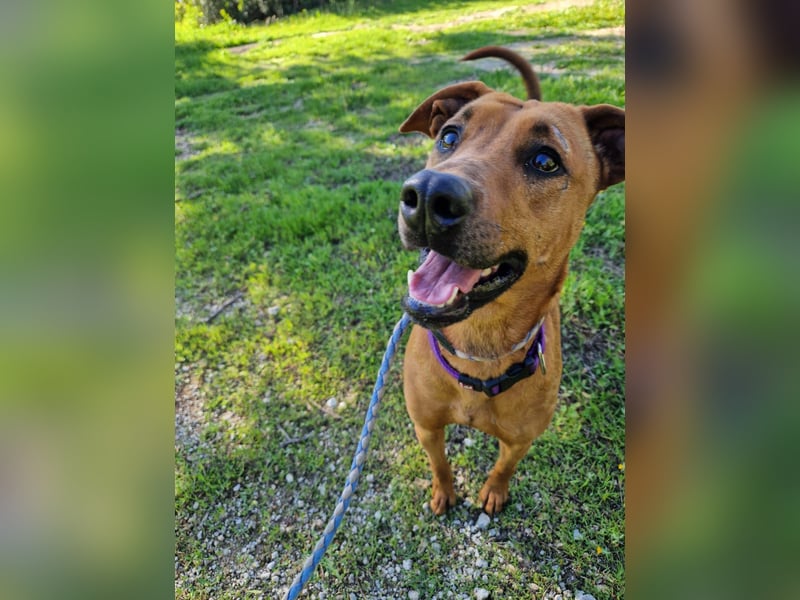 EMINA - intelligent und lernwillig